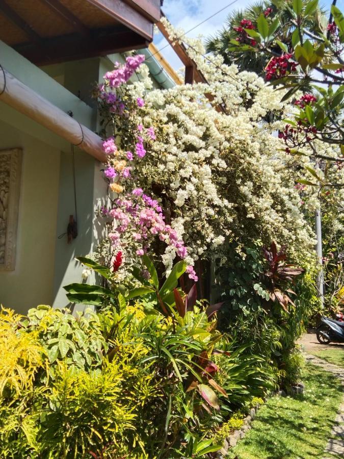 Villa Cantik Sambirenteng Gretek Экстерьер фото